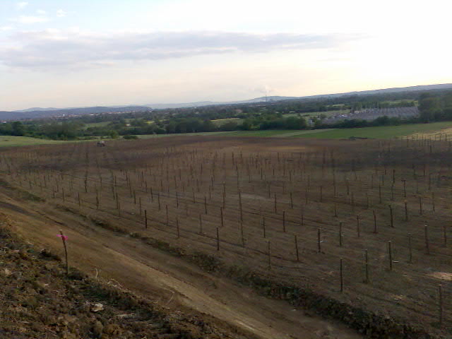 sv_i-zona_jun_2009_1